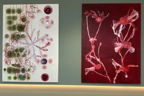 Exhibition in the public space at Bravis Hospital in Roosendaal, NL | 12.11.2020 till 12.02.2021